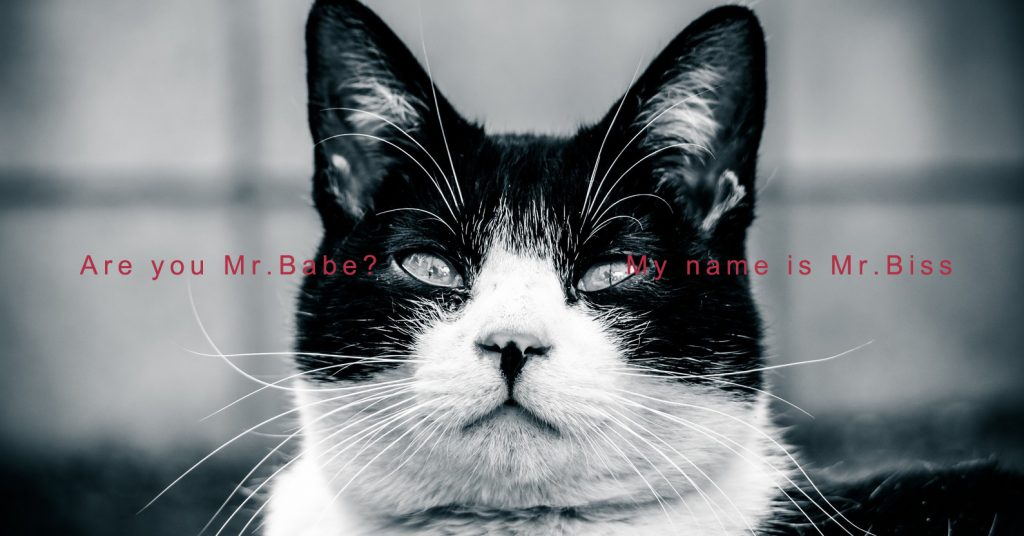 Mr.babe