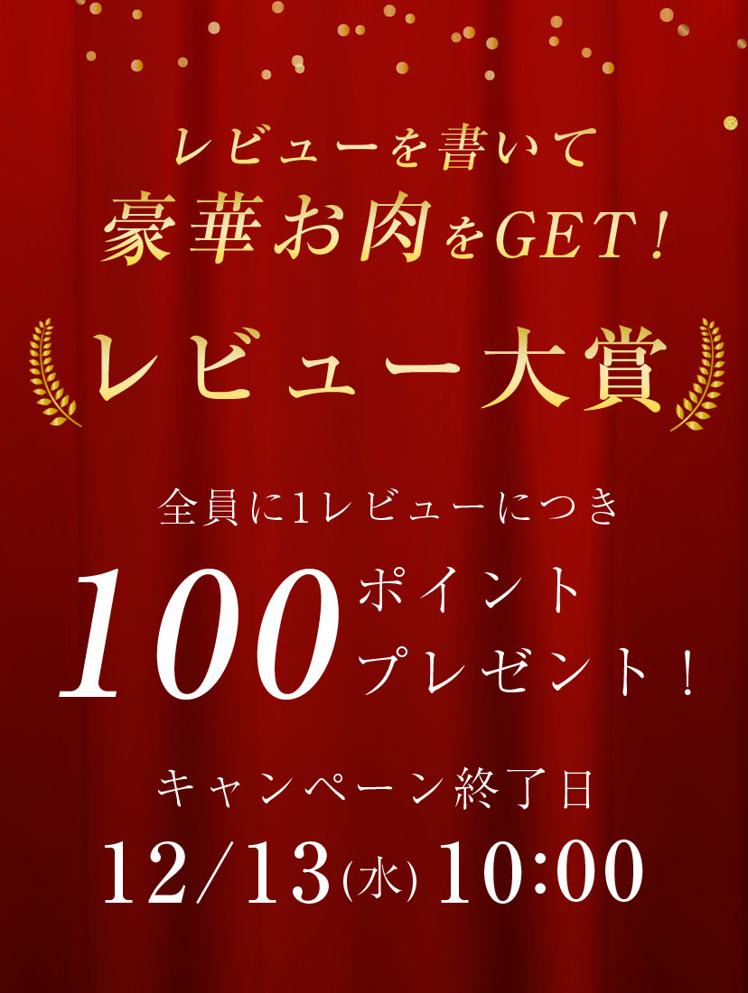 レビューキャンペーン